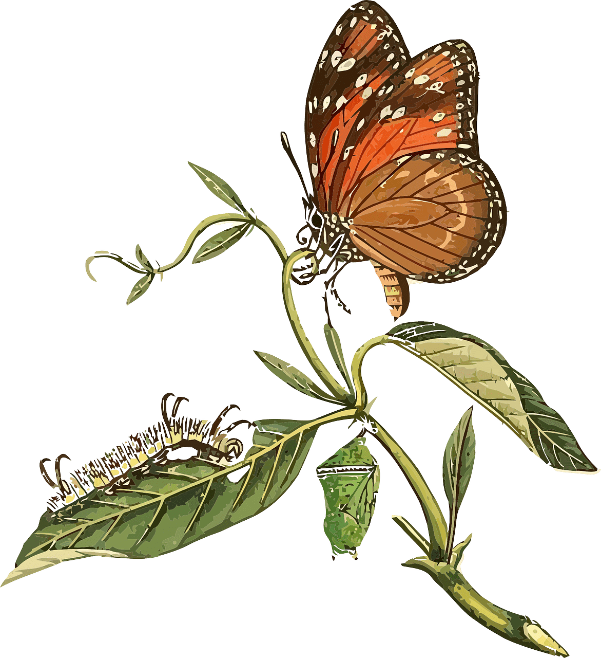 animal-158822_1280